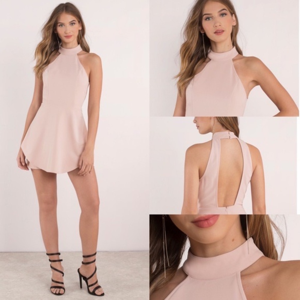 Tobi Blush Pink Poppy Layered Skater Dress